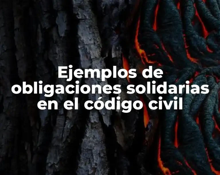Ejemplos de obligaciones solidarias en el código civil