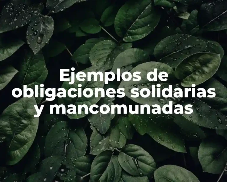 Ejemplos de obligaciones solidarias y mancomunadas