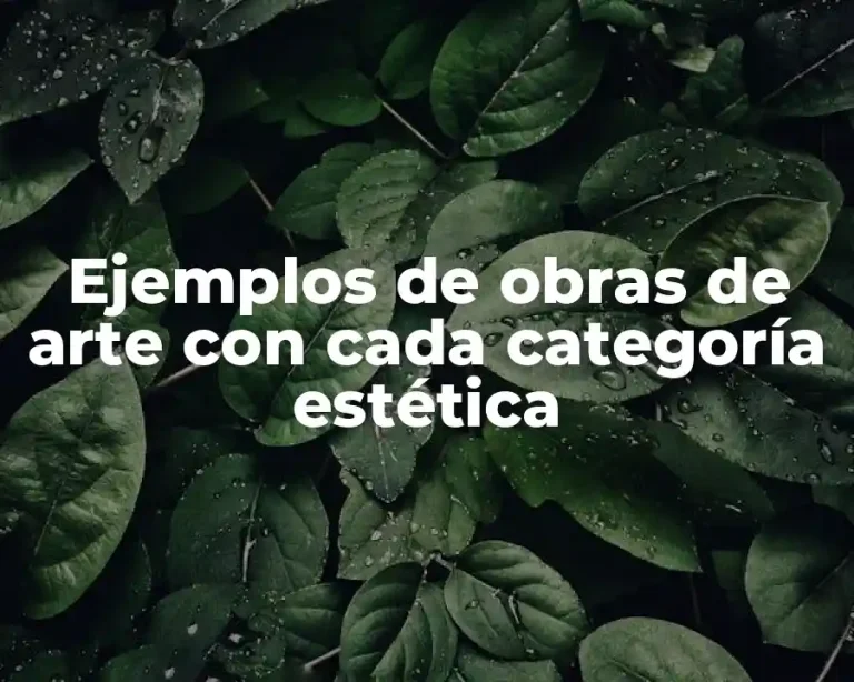 Ejemplos de obras de arte con cada categoría estética