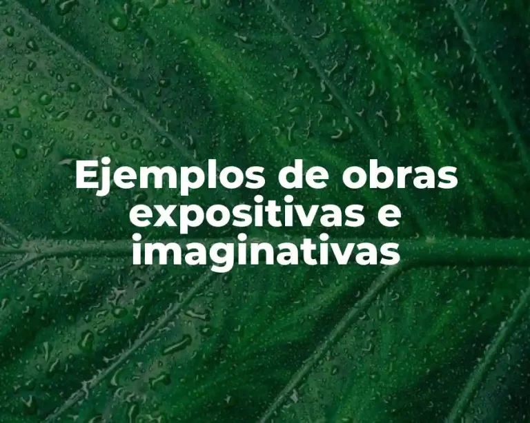 Ejemplos de obras expositivas e imaginativas