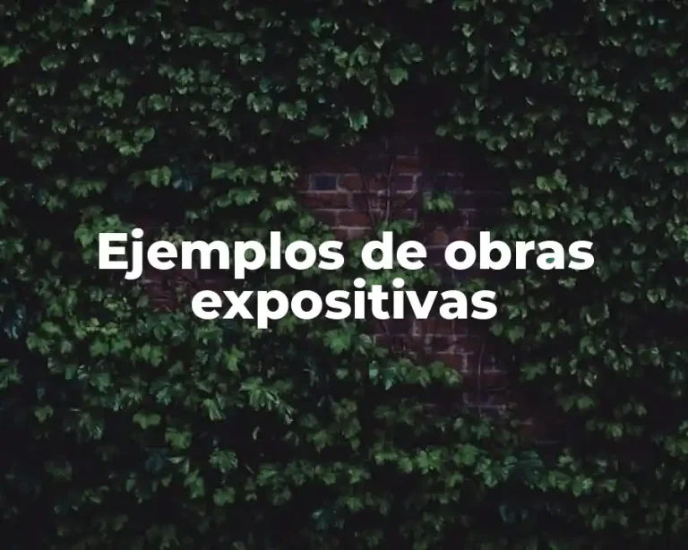 Ejemplos de obras expositivas