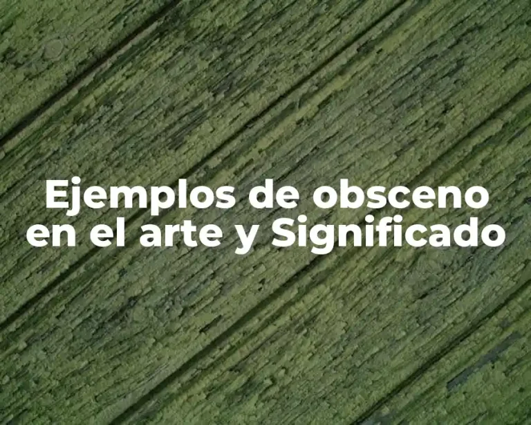 Ejemplos de obsceno en el arte y Significado
