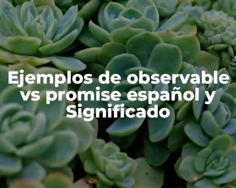 Ejemplos de observable vs promise español y Significado