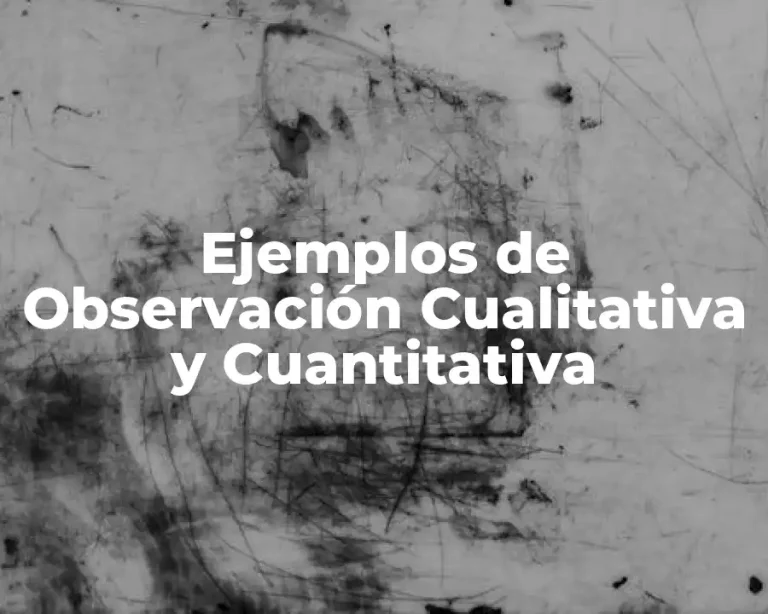 Ejemplos de Observación Cualitativa y Cuantitativa