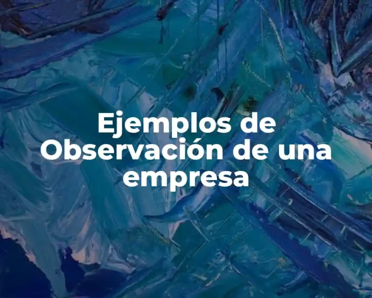 Ejemplos de Observación de una empresa
