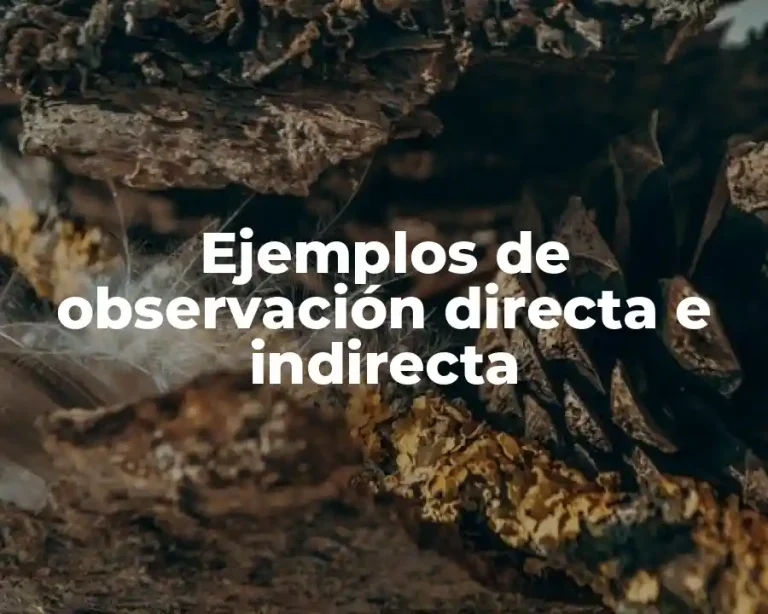 Ejemplos de observación directa e indirecta