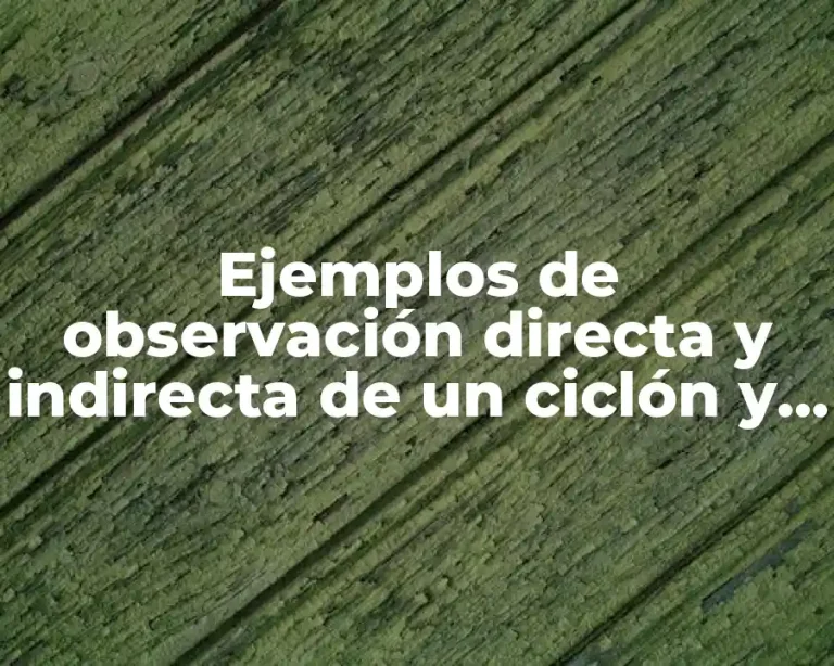 Ejemplos de observación directa y indirecta de un ciclón y Significado
