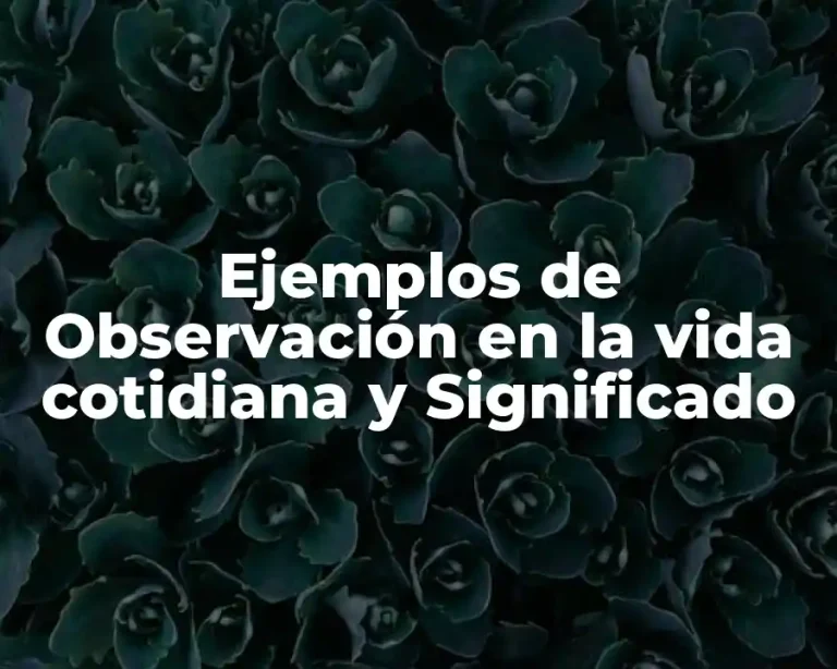Ejemplos de Observación en la vida cotidiana y Significado