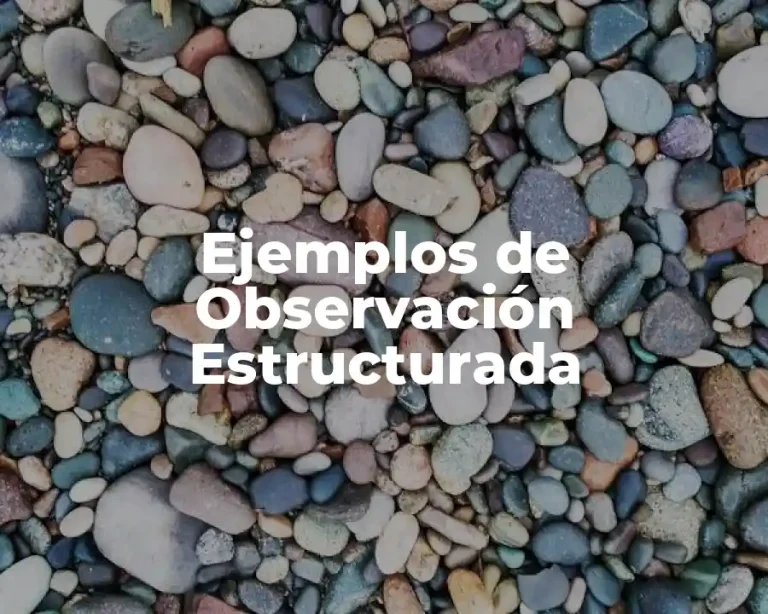 Ejemplos de Observación Estructurada