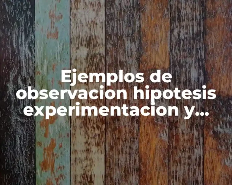 Ejemplos de observacion hipotesis experimentacion y conclusion