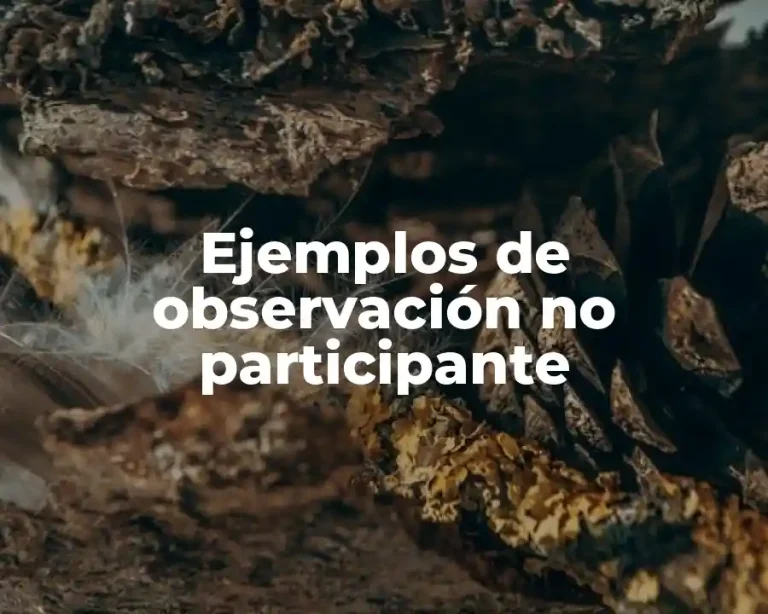 Ejemplos de observación no participante