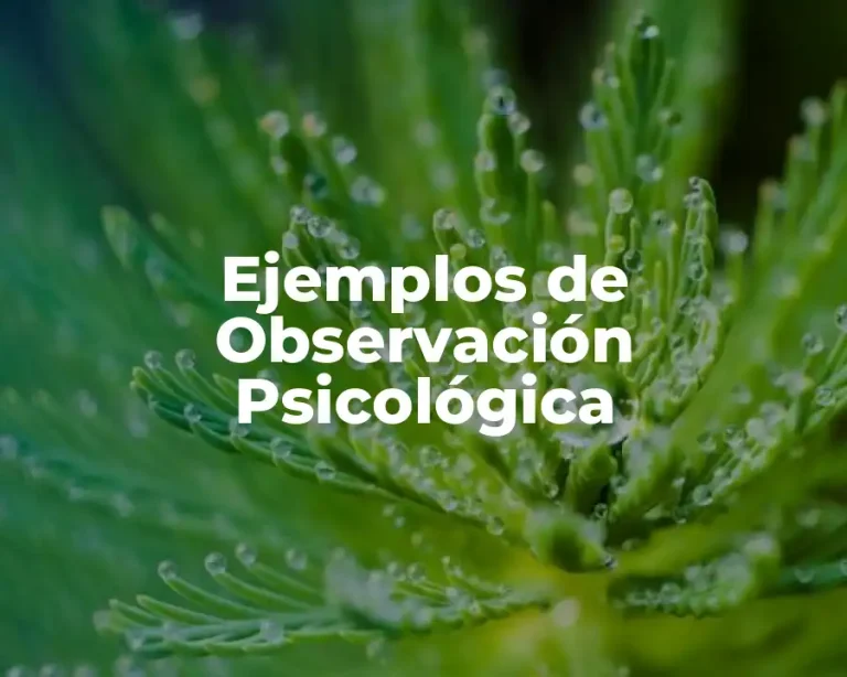 Ejemplos de Observación Psicológica