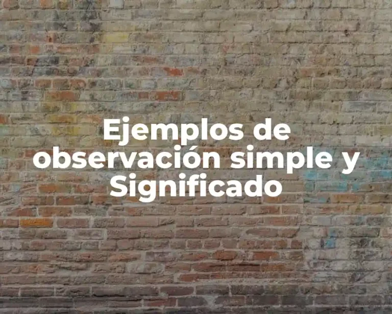 Ejemplos de observación simple y Significado