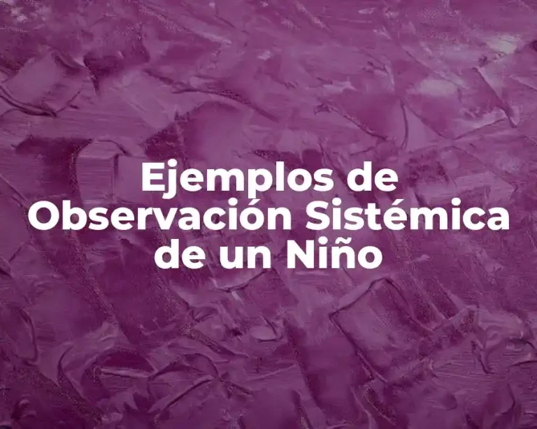Ejemplos de Observación Sistémica de un Niño