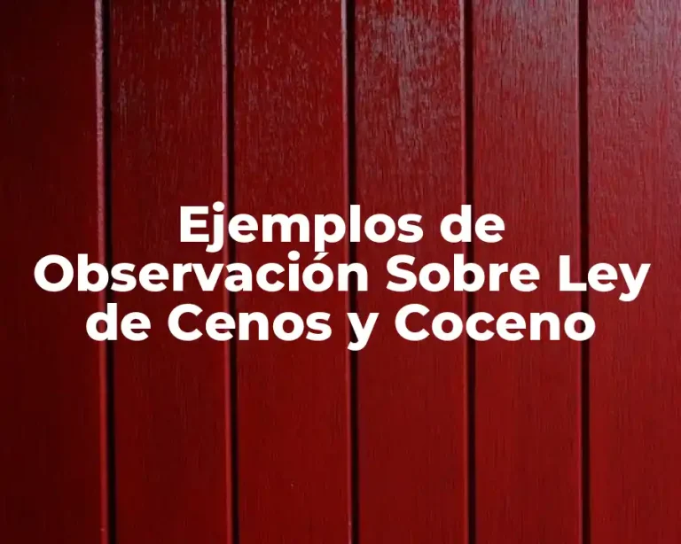 Ejemplos de Observación Sobre Ley de Cenos y Coceno