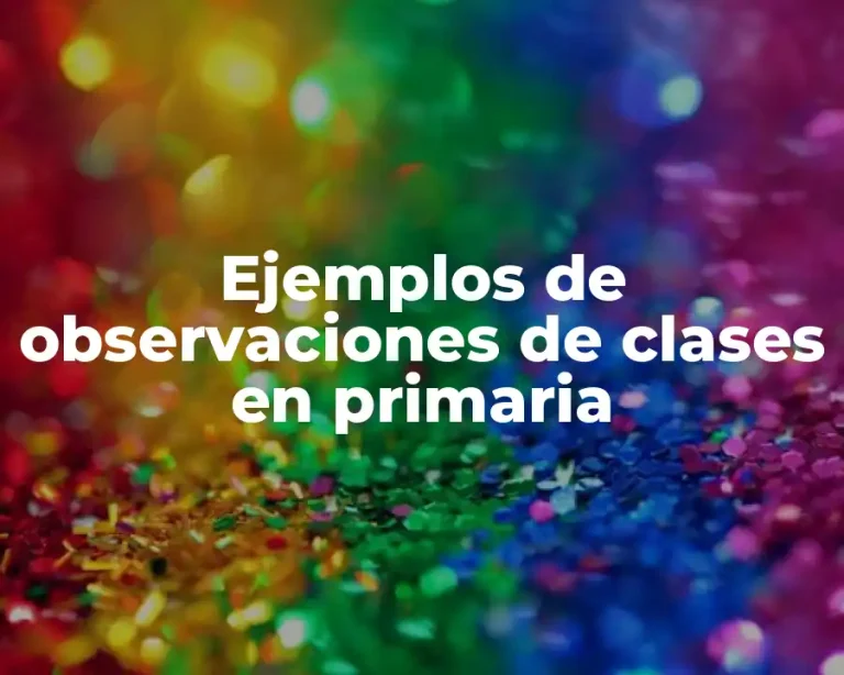 Ejemplos de observaciones de clases en primaria