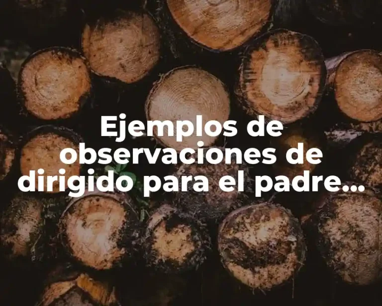 Ejemplos de observaciones de dirigido para el padre de familia