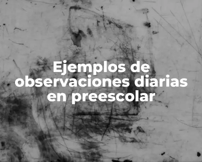 Ejemplos de observaciones diarias en preescolar