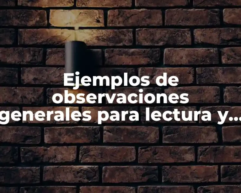 Ejemplos de observaciones generales para lectura y escritura segundo grado