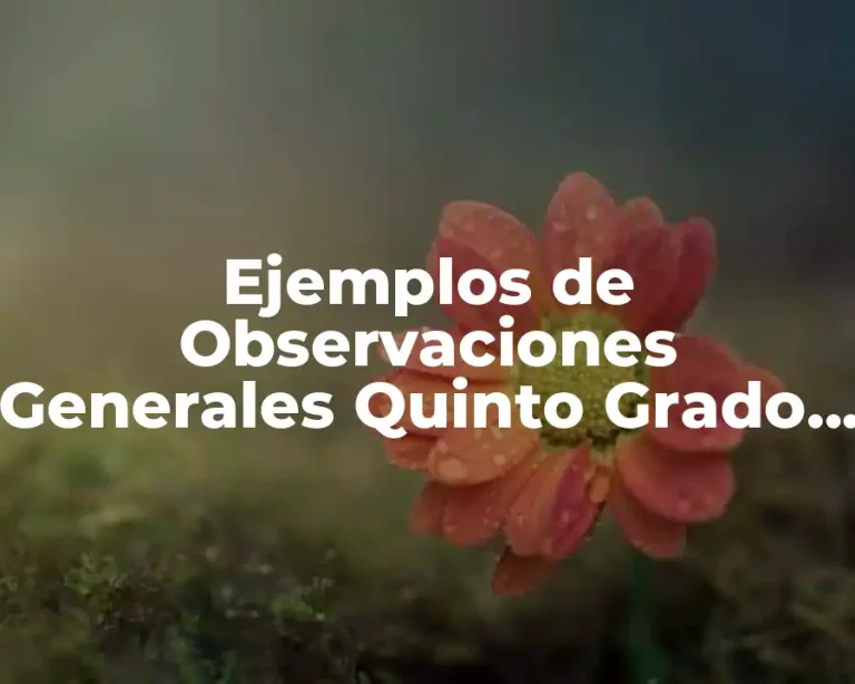 Ejemplos de Observaciones Generales Quinto Grado por Bimestre y Asignatura