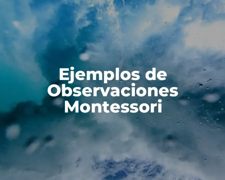 Ejemplos de Observaciones Montessori