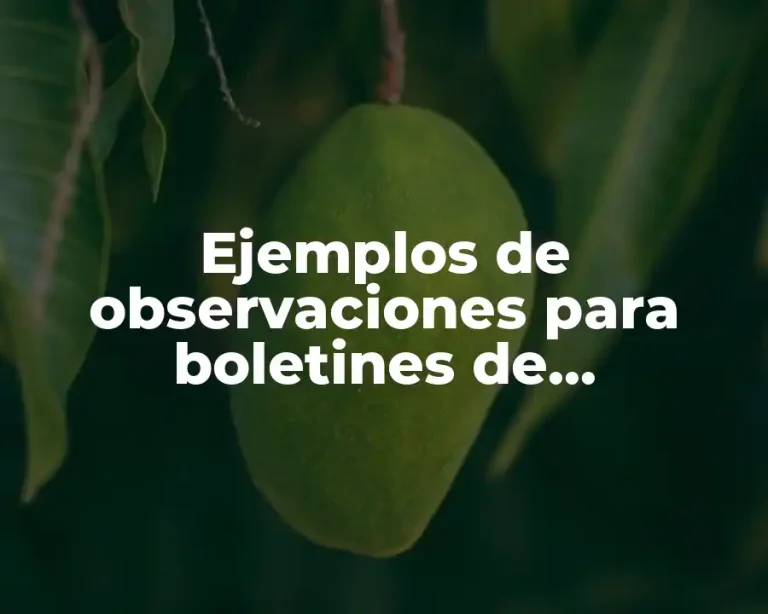 Ejemplos de observaciones para boletines de calificaciones preescolar