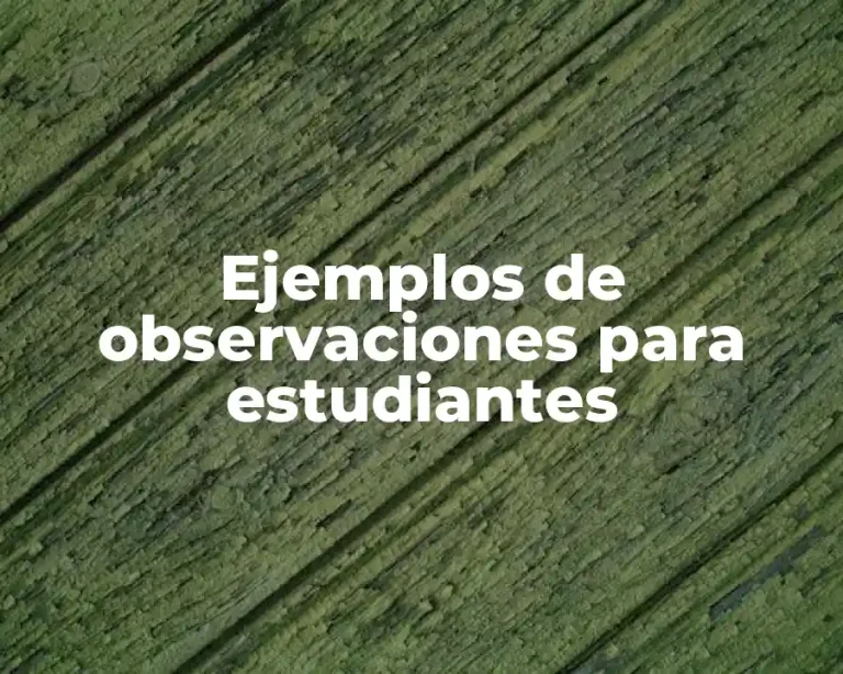 Ejemplos de observaciones para estudiantes
