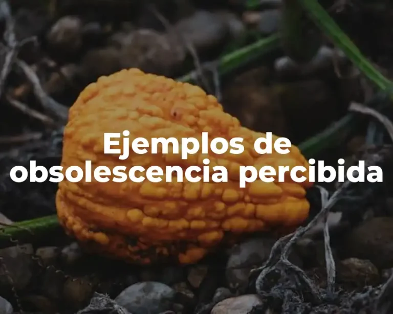 Ejemplos de obsolescencia percibida