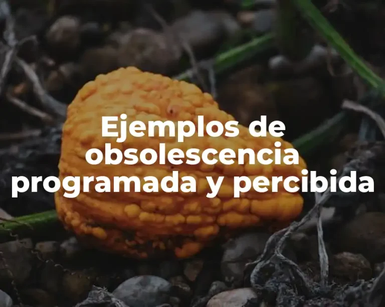 Ejemplos de obsolescencia programada y percibida