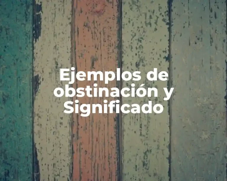 Ejemplos de obstinación y Significado