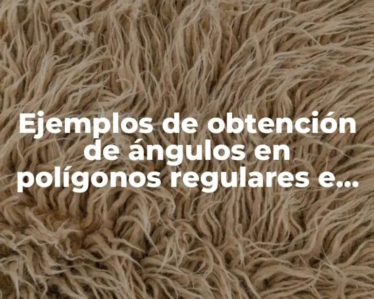 Ejemplos de obtención de ángulos en polígonos regulares e irregulares