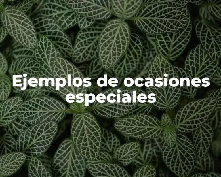 Ejemplos de ocasiones especiales