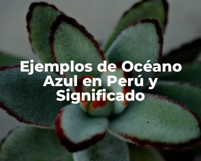 Ejemplos de Océano Azul en Perú y Significado