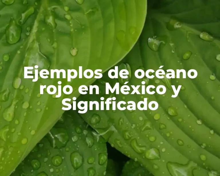 Ejemplos de océano rojo en México y Significado
