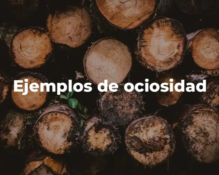 Ejemplos de ociosidad