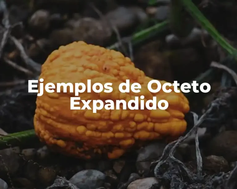 Ejemplos de Octeto Expandido