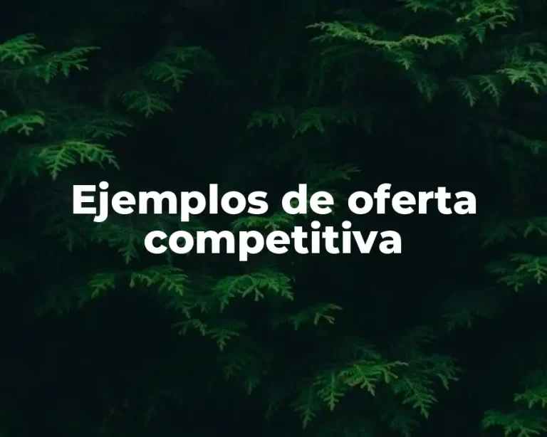 Ejemplos de oferta competitiva