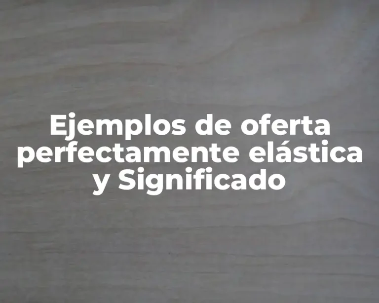 Ejemplos de oferta perfectamente elástica y Significado