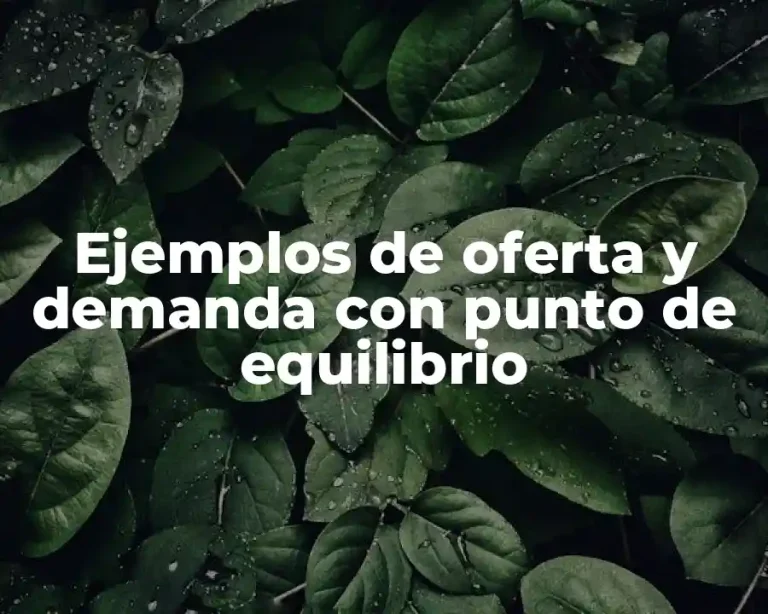 Ejemplos de oferta y demanda con punto de equilibrio