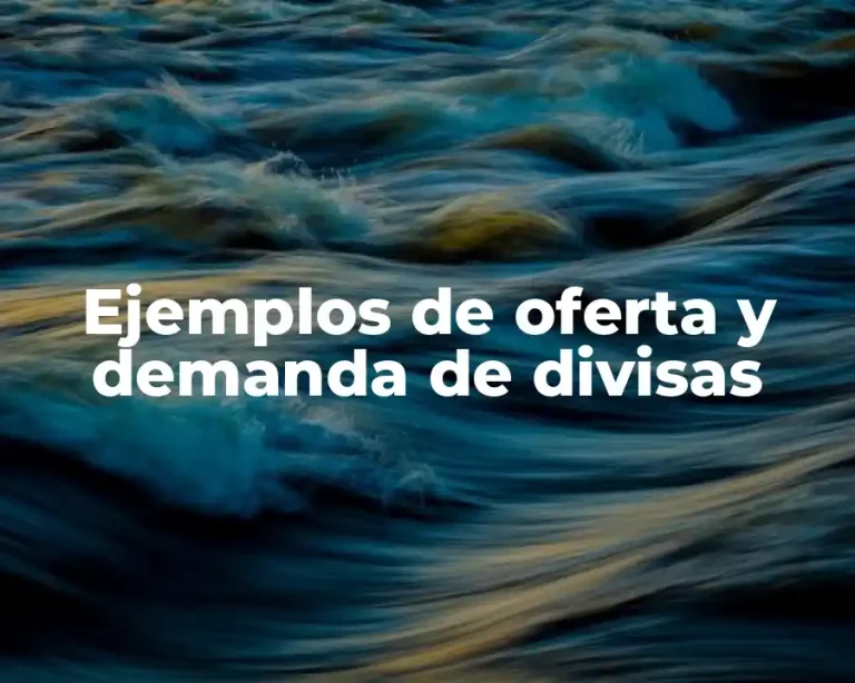 Ejemplos de oferta y demanda de divisas