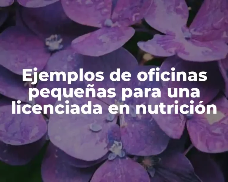Ejemplos de oficinas pequeñas para una licenciada en nutrición