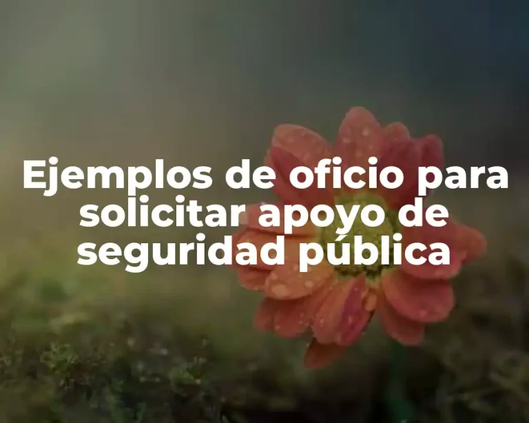 Ejemplos de oficio para solicitar apoyo de seguridad pública