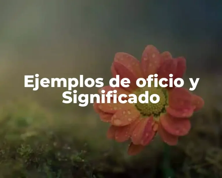 Ejemplos de oficio y Significado