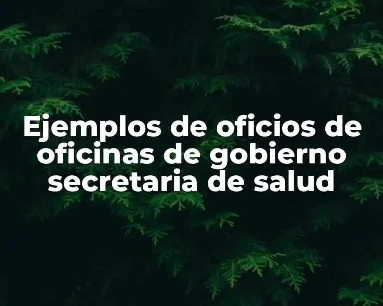 Ejemplos de oficios de oficinas de gobierno secretaria de salud