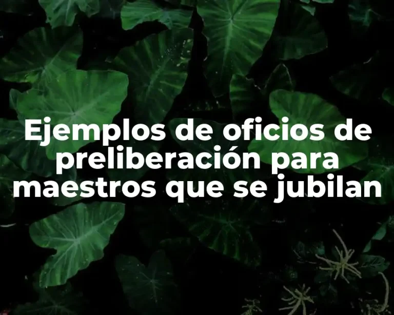 Ejemplos de oficios de preliberación para maestros que se jubilan
