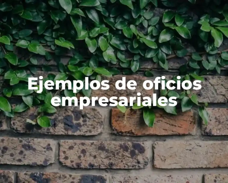 Ejemplos de oficios empresariales