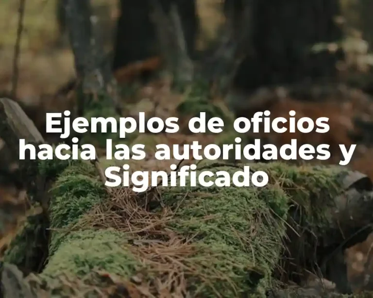 Ejemplos de oficios hacia las autoridades y Significado