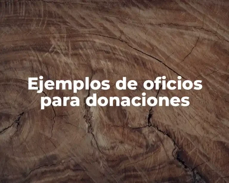 Ejemplos de oficios para donaciones
