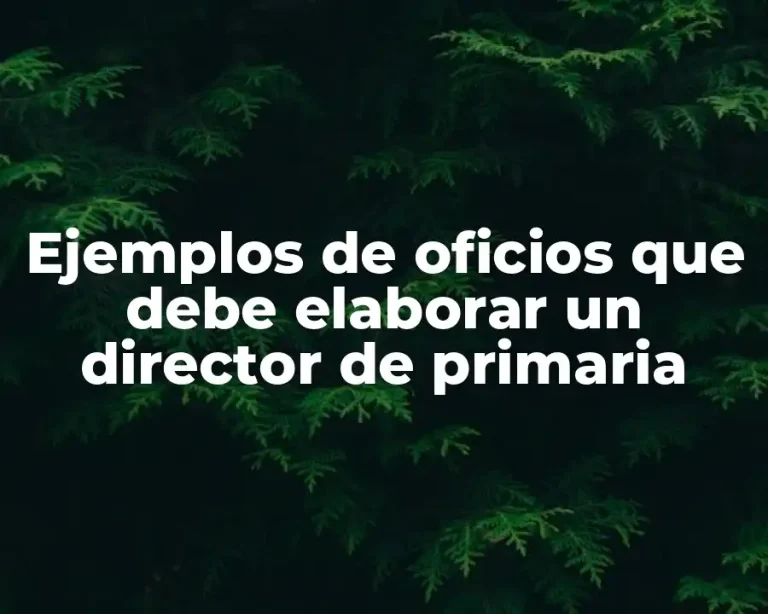 Ejemplos de oficios que debe elaborar un director de primaria