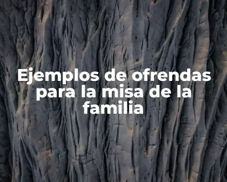 Ejemplos de ofrendas para la misa de la familia